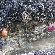 CoastCamp 068 : CoastCamp